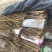 【精品】山药大量上市代发全国一手货源品质保证