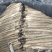 【精品】山药大量上市代发全国一手货源品质保证