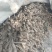 【精品】山药大量上市代发全国一手货源品质保证