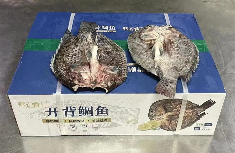 开背巴沙鱼