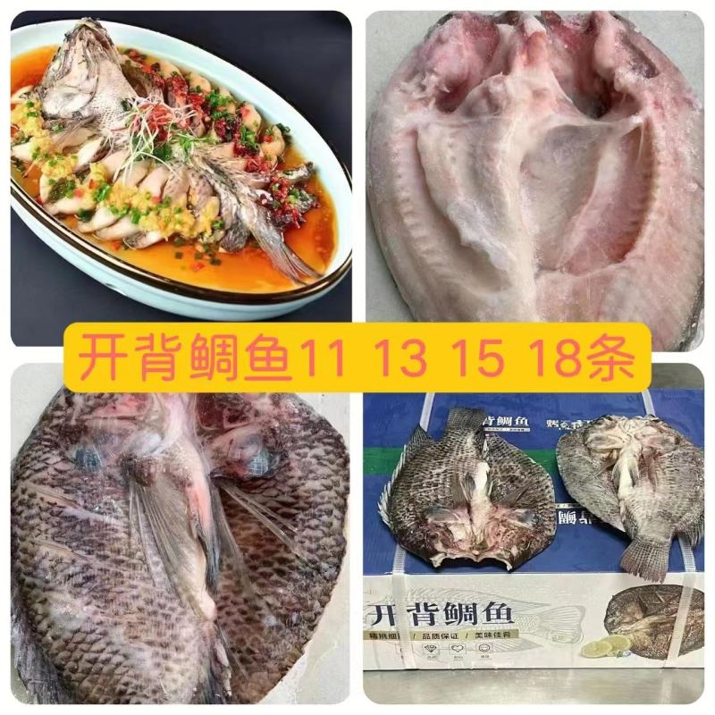 开背巴沙鱼
