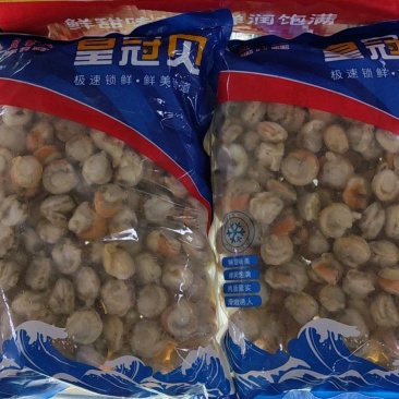 原汁扇贝肉