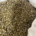 干石斛实物拍摄质量保证