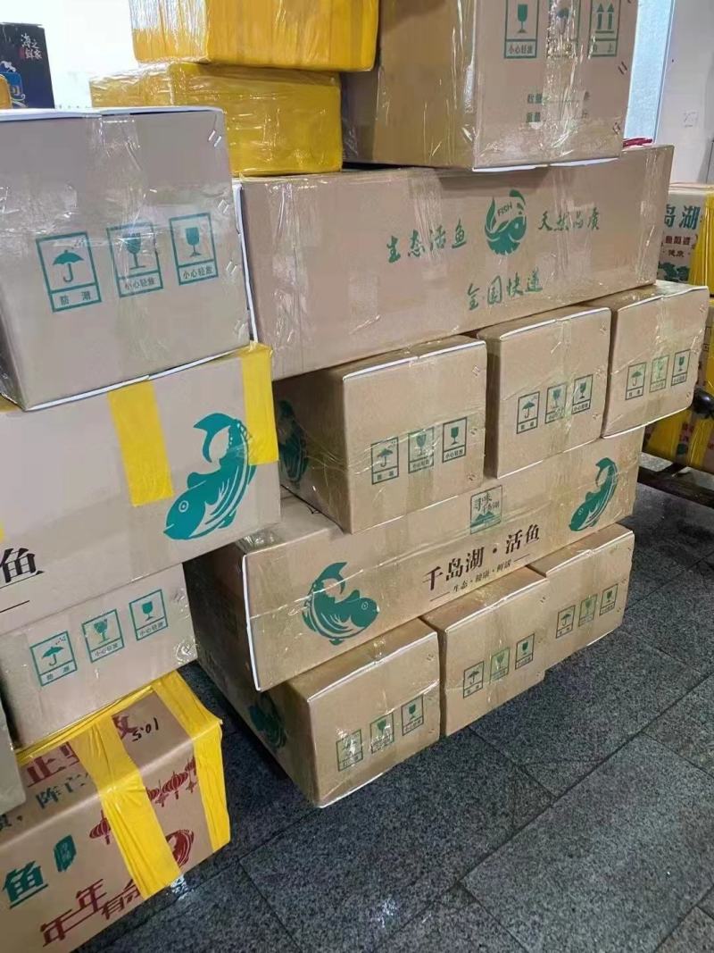 【推荐】千岛湖生态有机包头鱼活鱼打包可以现杀真空包装