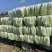 【精品】全国江苏精品黄心白菜大量上市，基地直供，保质保量