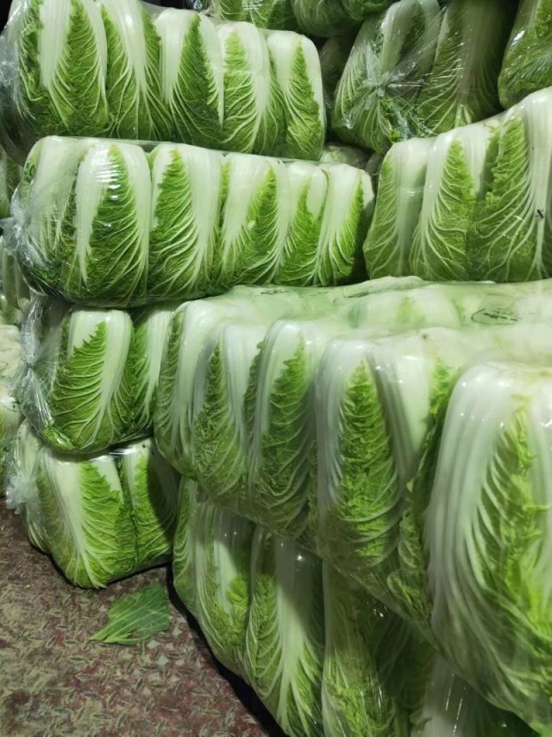 【精品】全国江苏精品黄心白菜大量上市，基地直供，保质保量