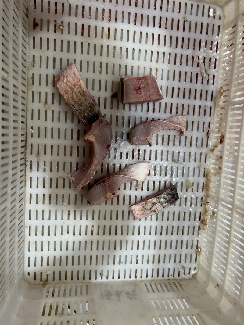 草鱼鱼块.大湖养殖.当天新鲜活鱼加工.当天发货.
