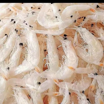 好品质产品，虾米，虾皮卖10元一碗火爆模式，怎么卖都挣钱