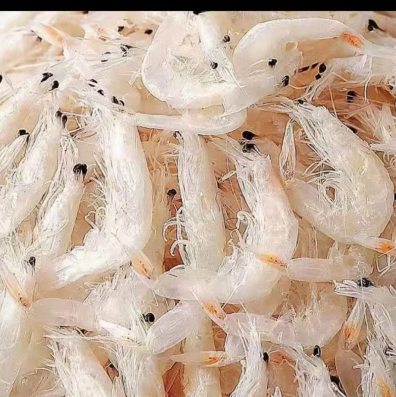 好品质产品，虾米，虾皮卖10元一碗火爆模式，怎么卖都挣钱