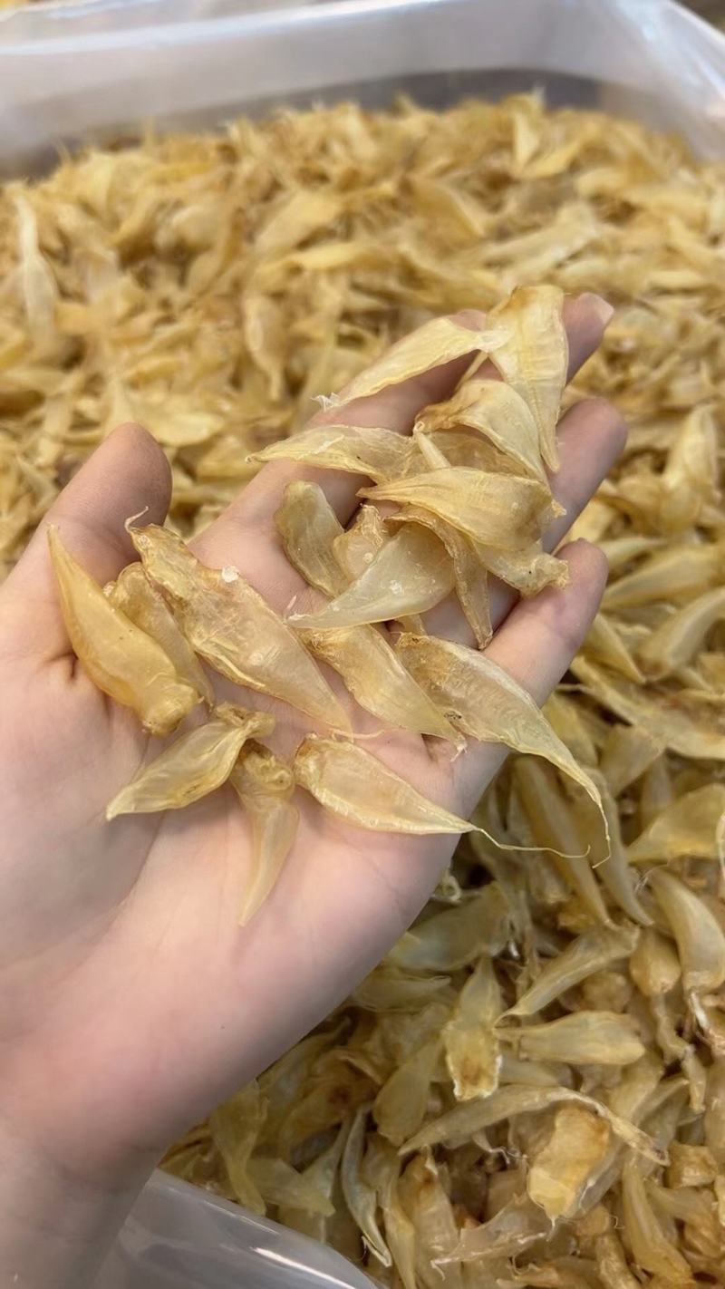小缅甸黄花胶又称豆仁胶胶质非常好约1000头