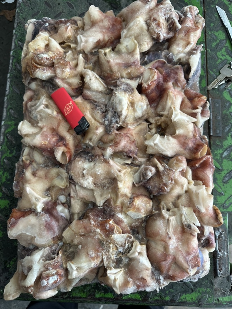 北太原汁纯干鱿鱼脖子，口感脆，不缩水