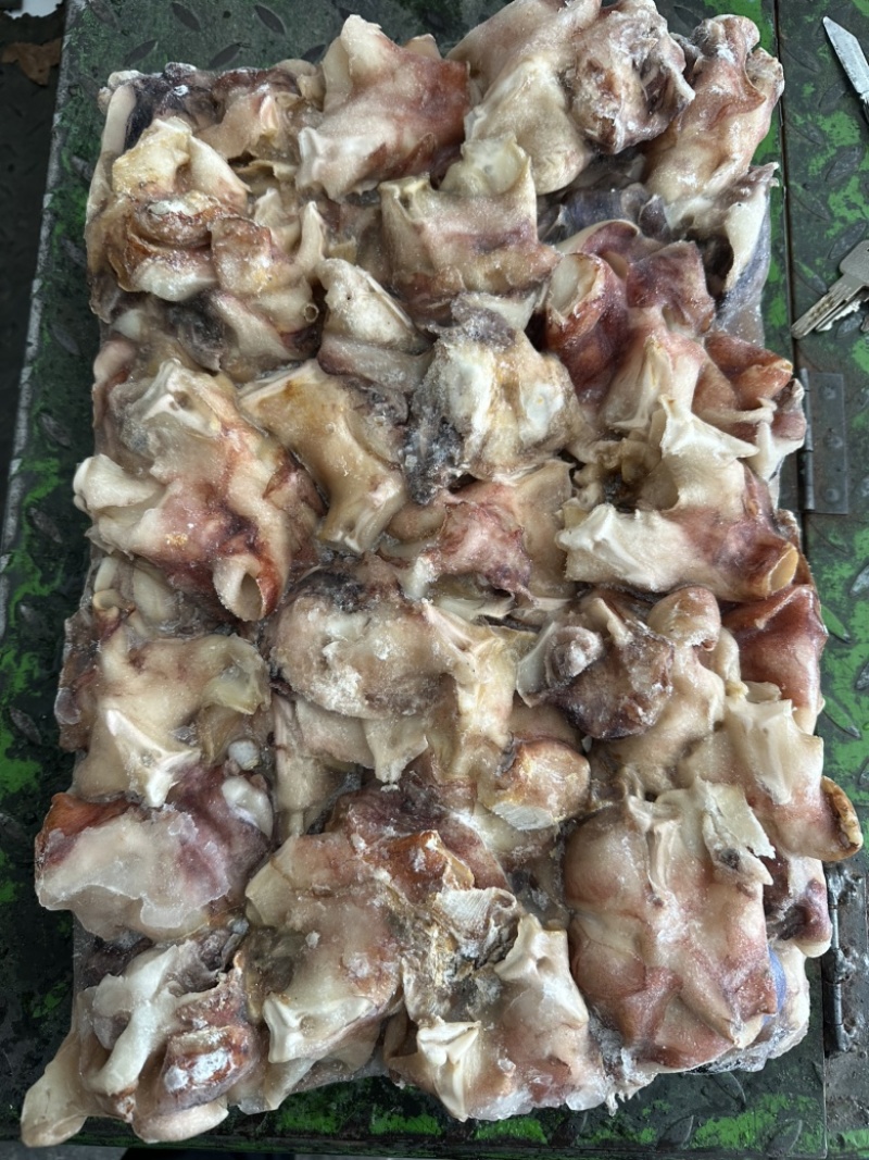 北太原汁纯干鱿鱼脖子，口感脆，不缩水