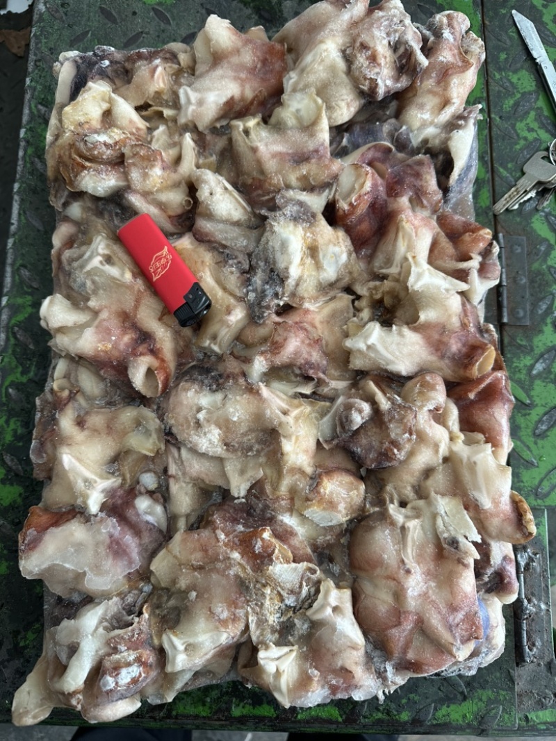 北太原汁纯干鱿鱼脖子，口感脆，不缩水