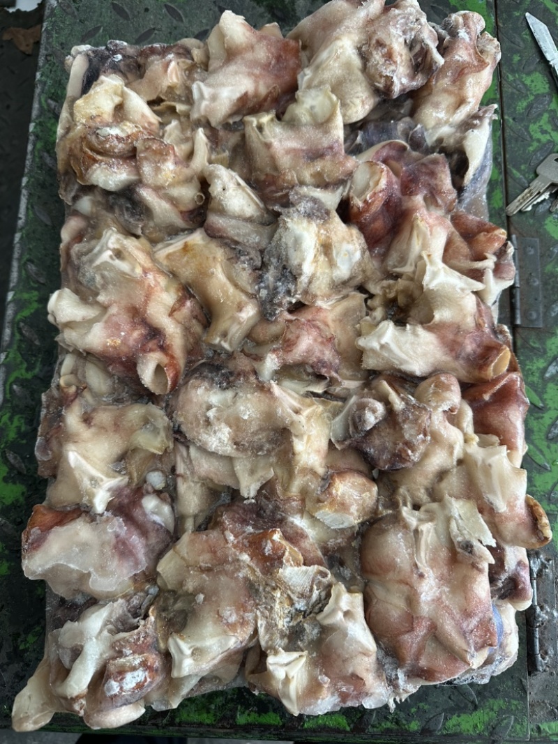 北太原汁纯干鱿鱼脖子，口感脆，不缩水