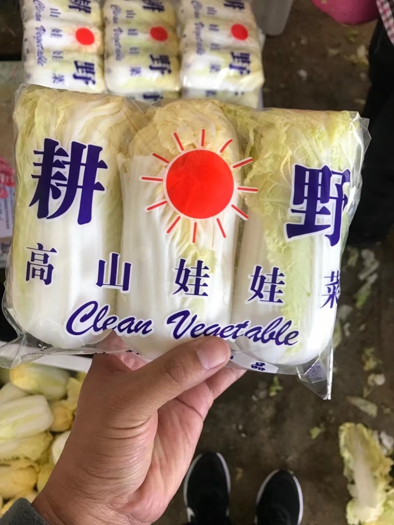 安徽亳州小娃娃菜产地直发大量现货可视频看货