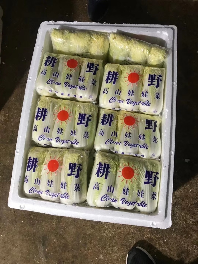 安徽亳州大娃娃菜产地直发可对接批发市场商超