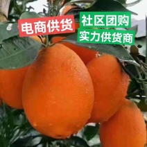 〈电商十供应链〉长虹中红橙纽荷尔电商十社团十市场销售