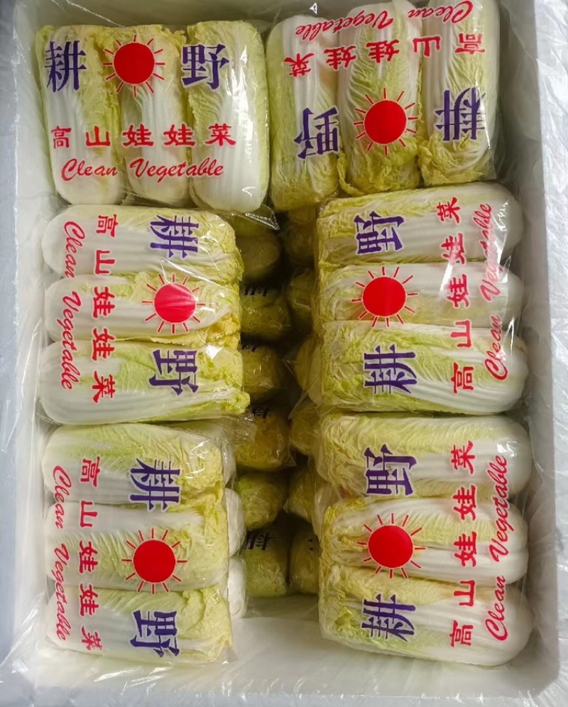 精品娃娃菜高山娃娃菜净菜毛菜产地直发黄心大白菜定等