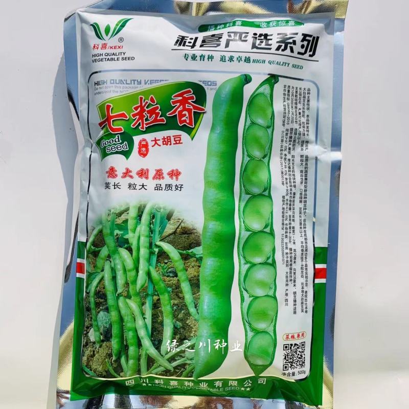 七粒香蚕豆种子中熟品种大粒蚕豆种子大田用种