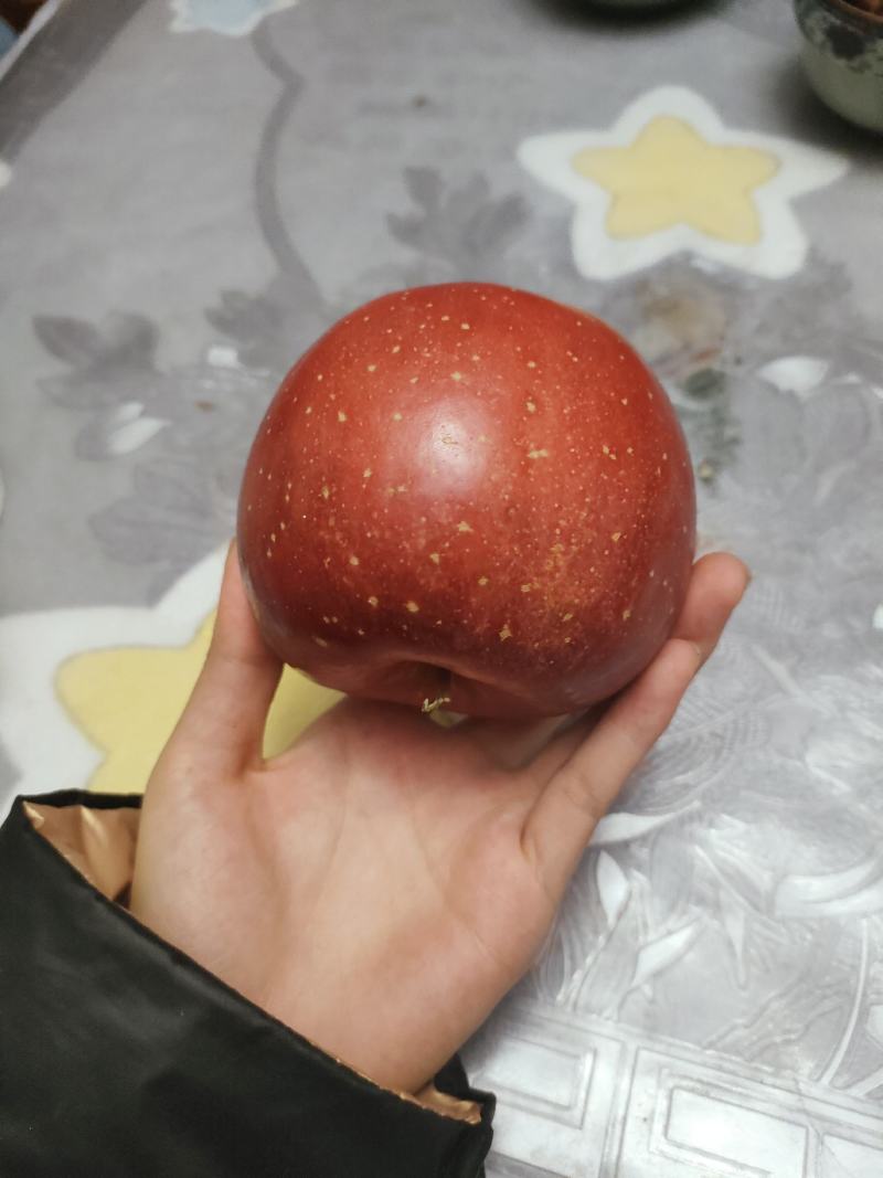 冰糖心高品质高原苹果