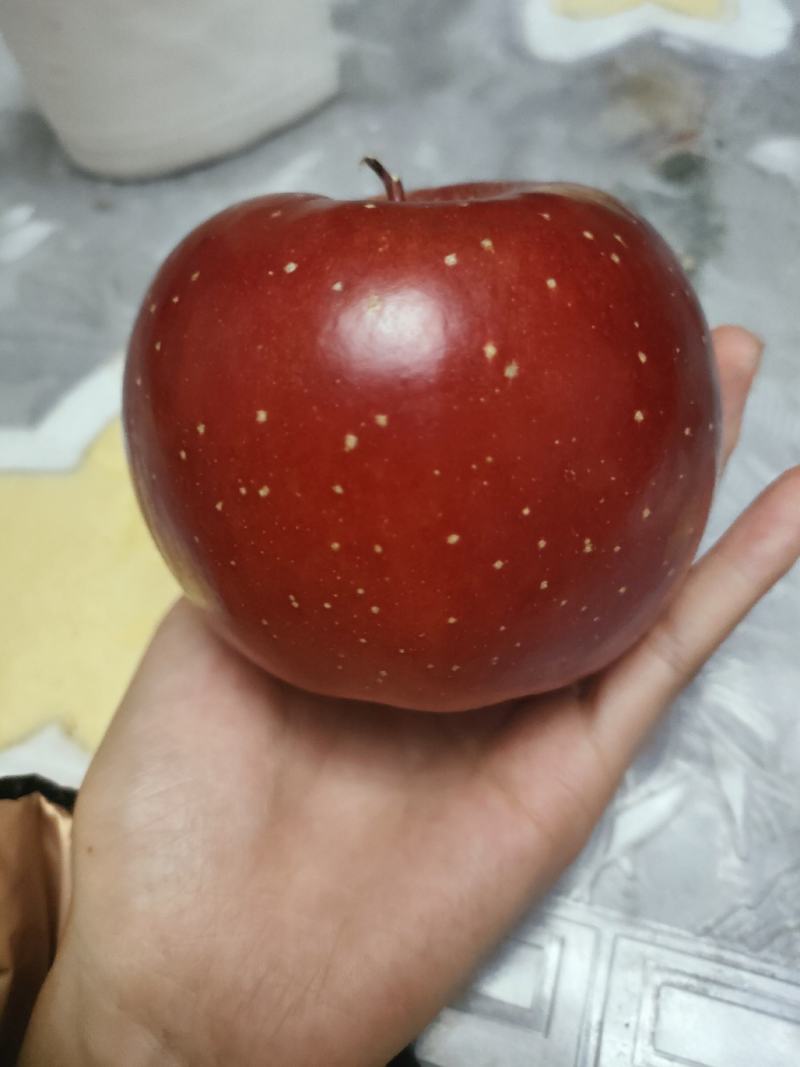 冰糖心高品质高原苹果