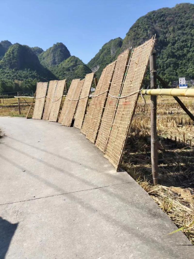 长期有货一手货源各种红薯粉条