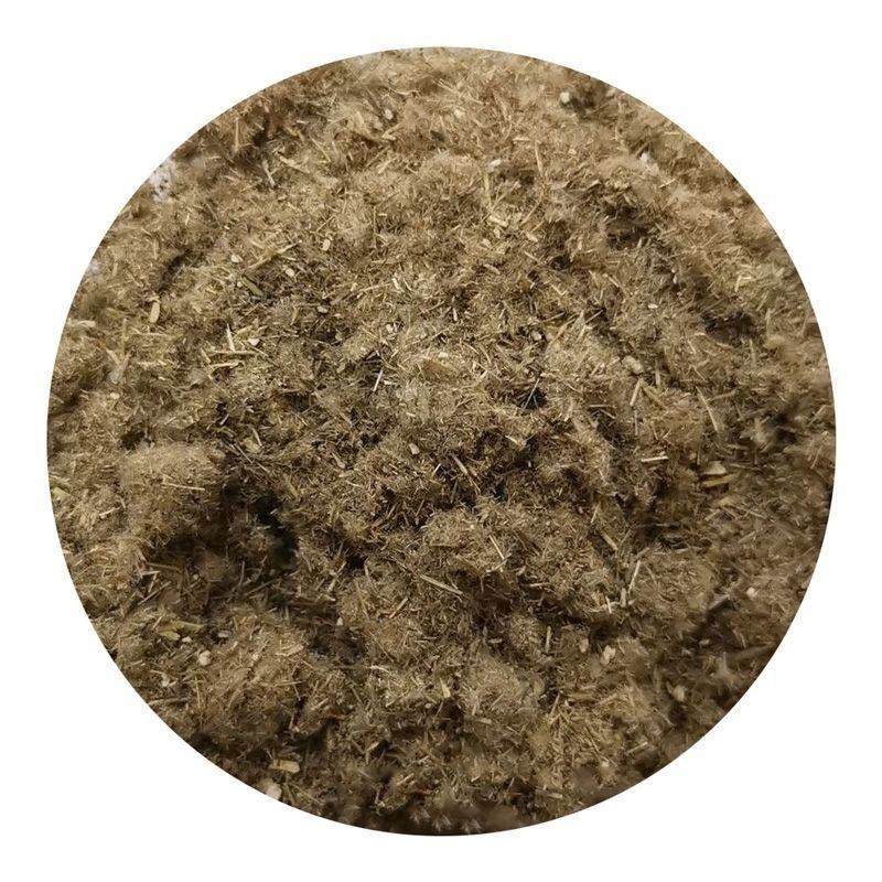 芦苇种子葭兼种籽牧草水生植物药材护堤园林绿化湖泊种植鱼虾
