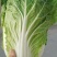 黄心大白菜