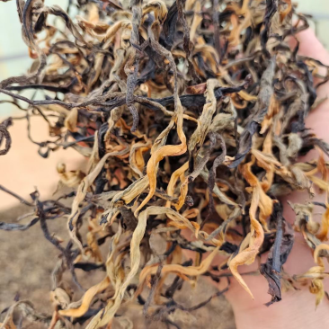 云南一芽二叶烤红糯香红茶汤透亮！价格实惠！批发