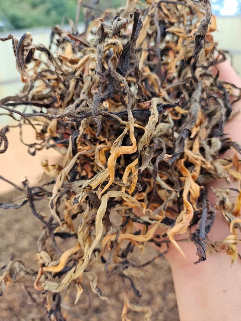 云南一芽二叶烤红糯香红茶汤透亮！价格实惠！批发