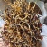 云南一芽二叶烤红糯香红茶汤透亮！价格实惠！批发