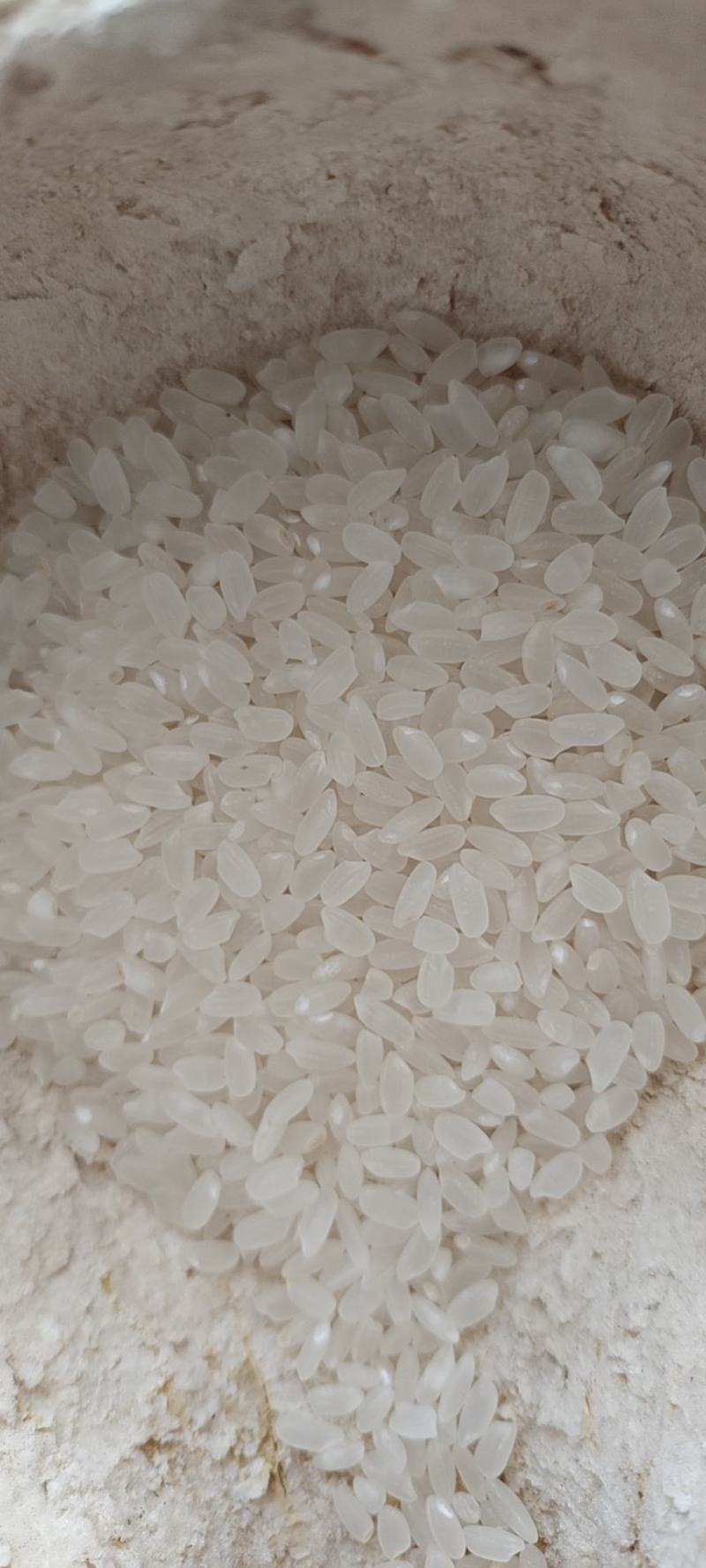 香米，质量有保障货源充足欢迎前来选购