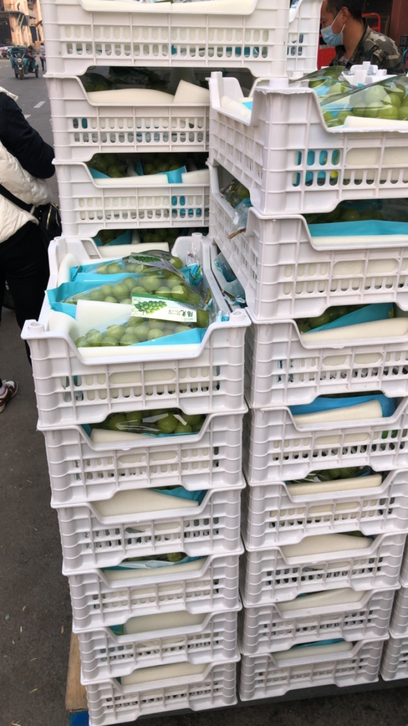 精品精品