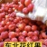 冻八棱海棠果，花红果，冷冻花红果，全国冷链运输
