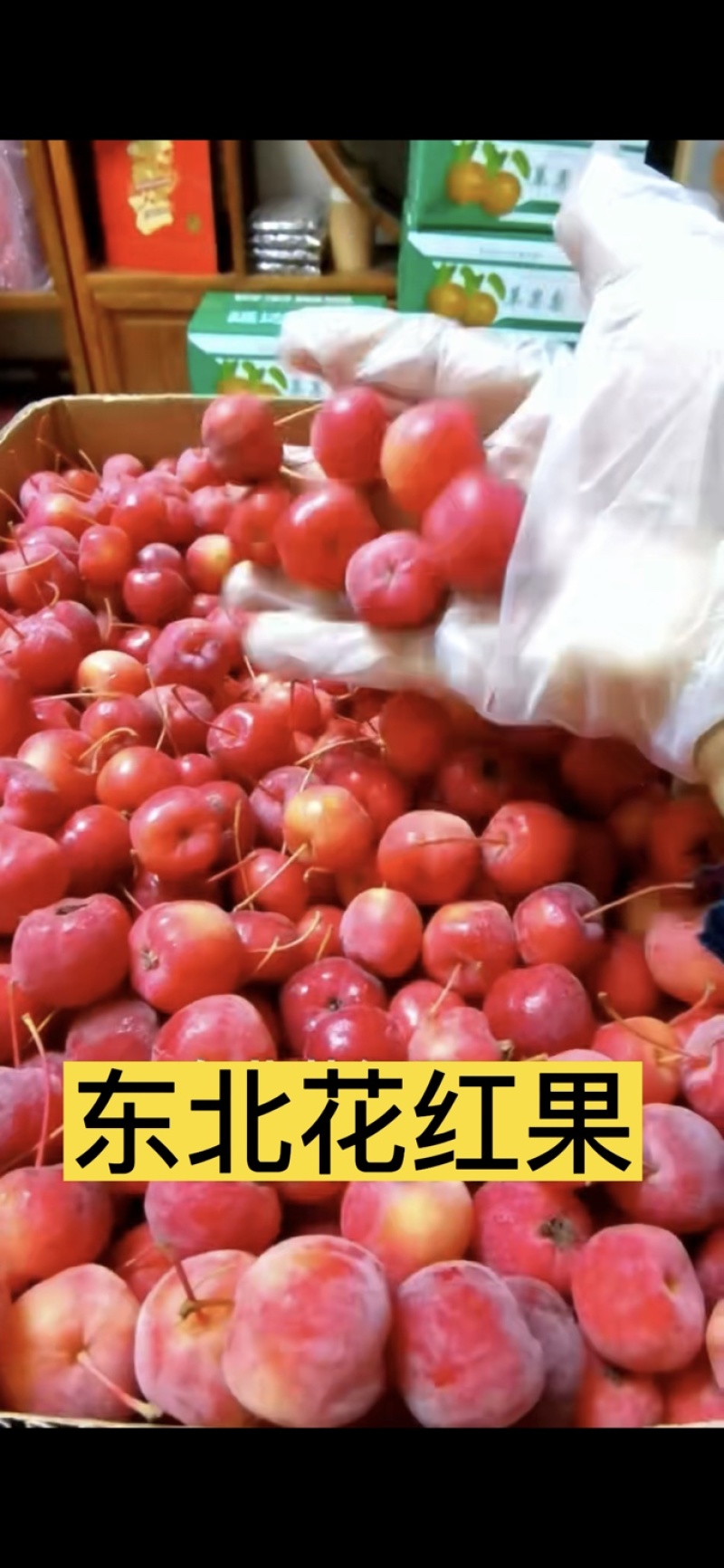 冻八棱海棠果，花红果，冷冻花红果，全国冷链运输