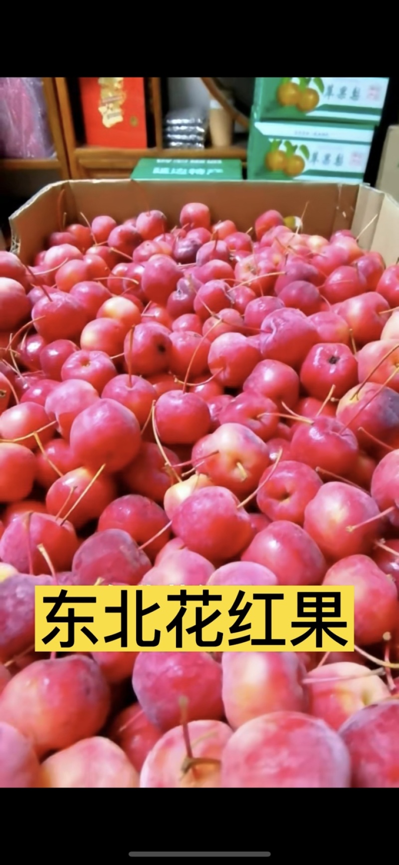冻八棱海棠果，花红果，冷冻花红果，全国冷链运输