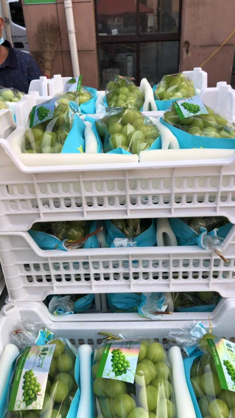 精品精品