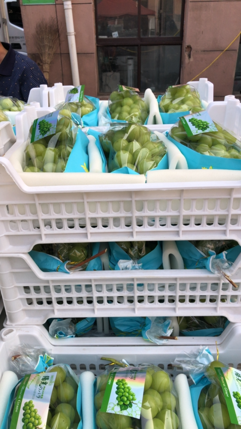 精品精品