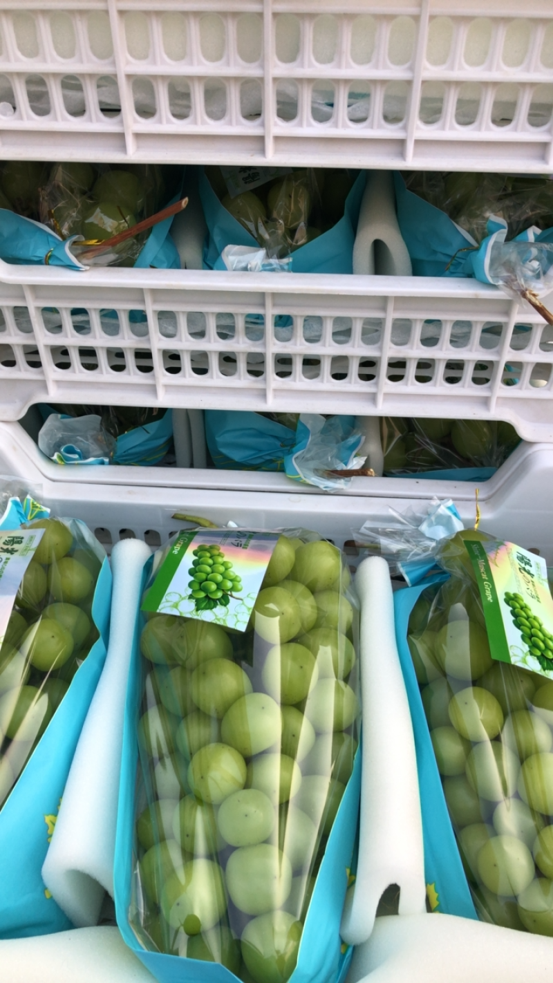 精品精品