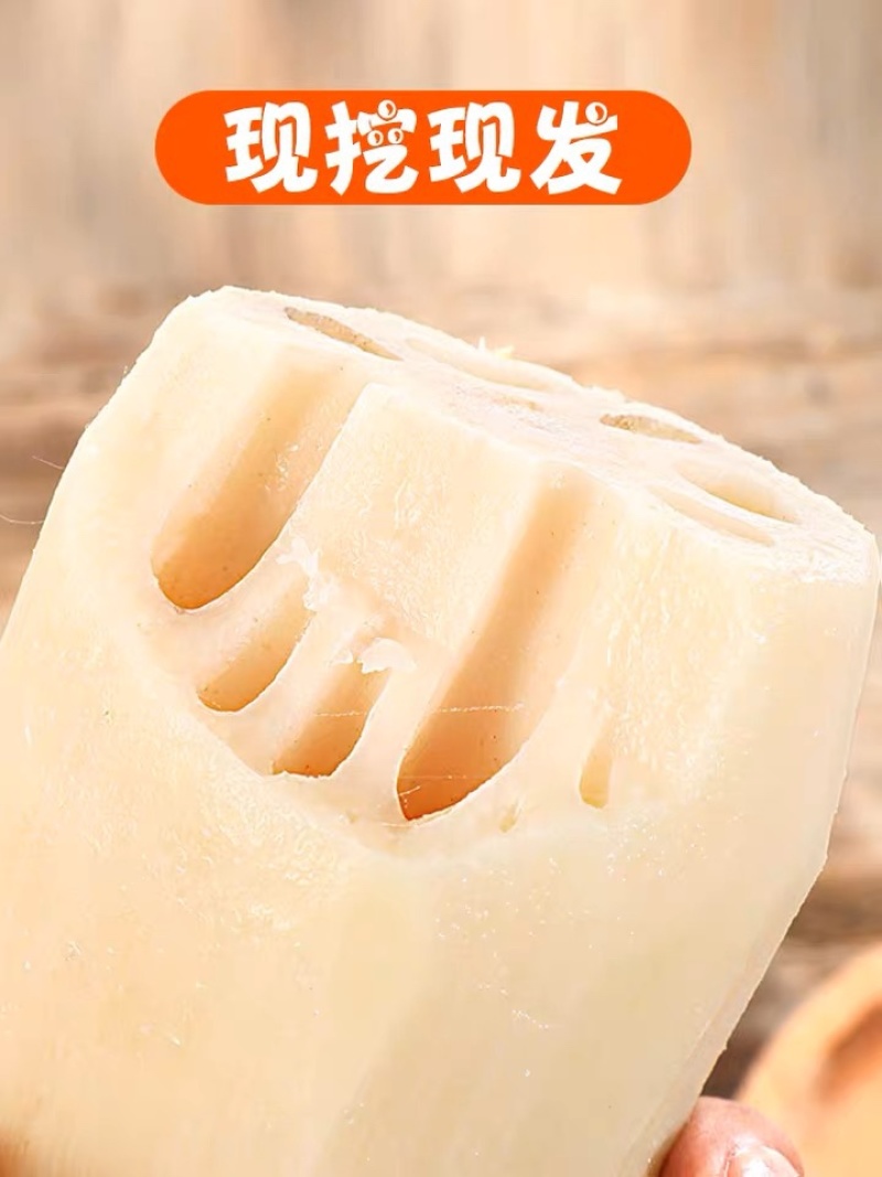 精品莲藕优质莲藕花奇莲现挖现发全国发货量大从优