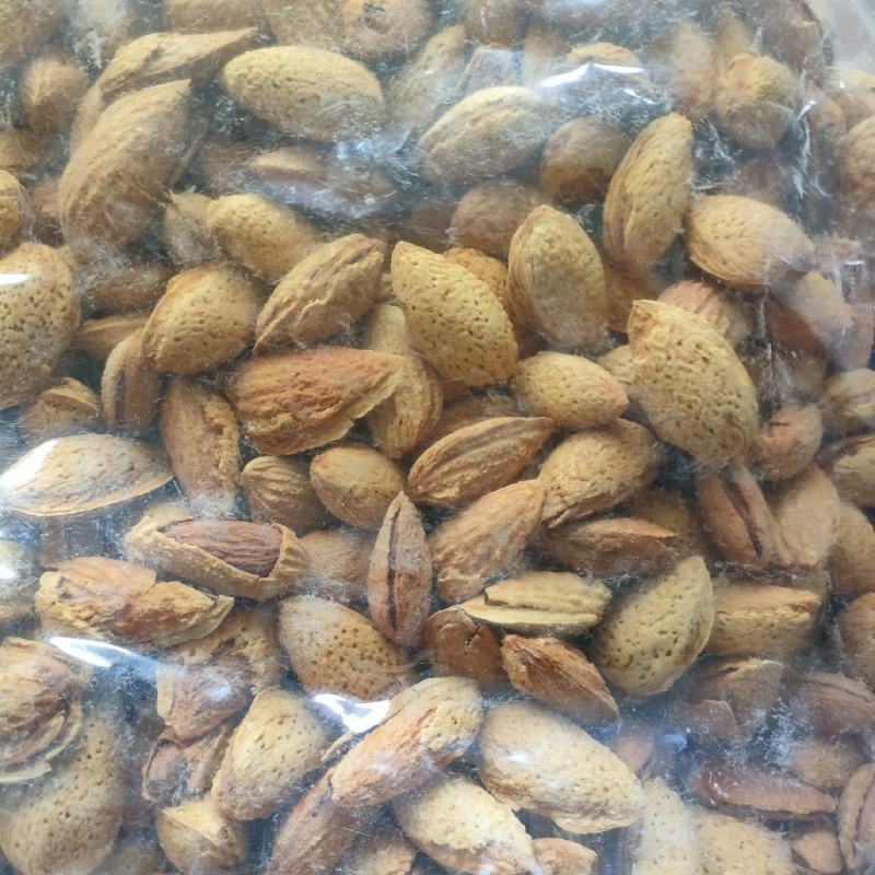 巴旦木坚果，薄皮，纸皮，刀果，原味盐焗味