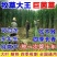 【牛商店长推荐】巨菌草种苗产地直发包技术包售后