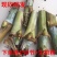 【牛商店长推荐】巨菌草种苗产地直发包技术包售后