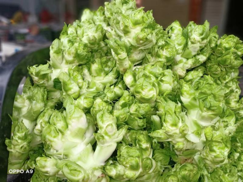 四川儿菜大量上市，货源充足有需要的朋友请联系。