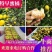 湖南蜜橘，回峰蜜橘，蜜桔，普早蜜橘，金秋砂糖橘