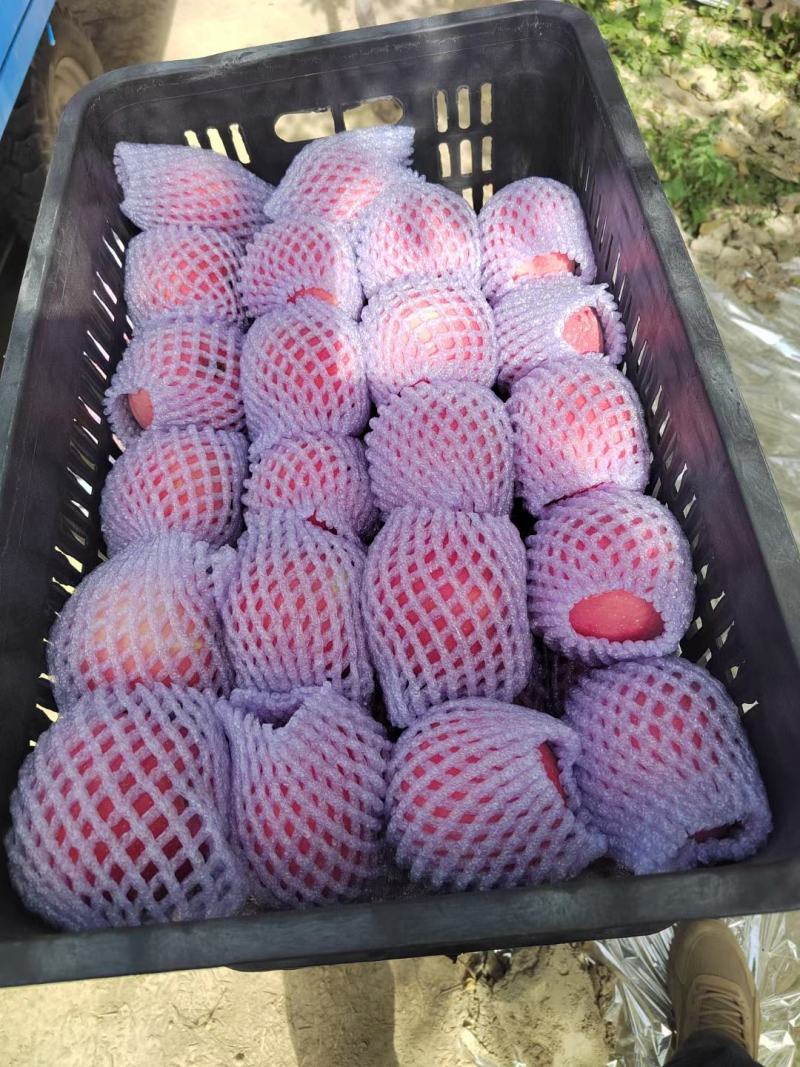 阿克苏冰糖心高次果，红旗坡冰糖心二级果