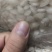 鱼脑石黄花鱼鱼脑子里的石头有大个和小个10公斤包邮