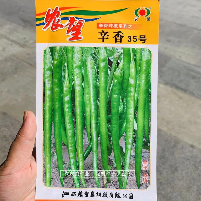 农望辣椒种子辛香35号杂交一代长线椒种子中辣肉质脆嫩