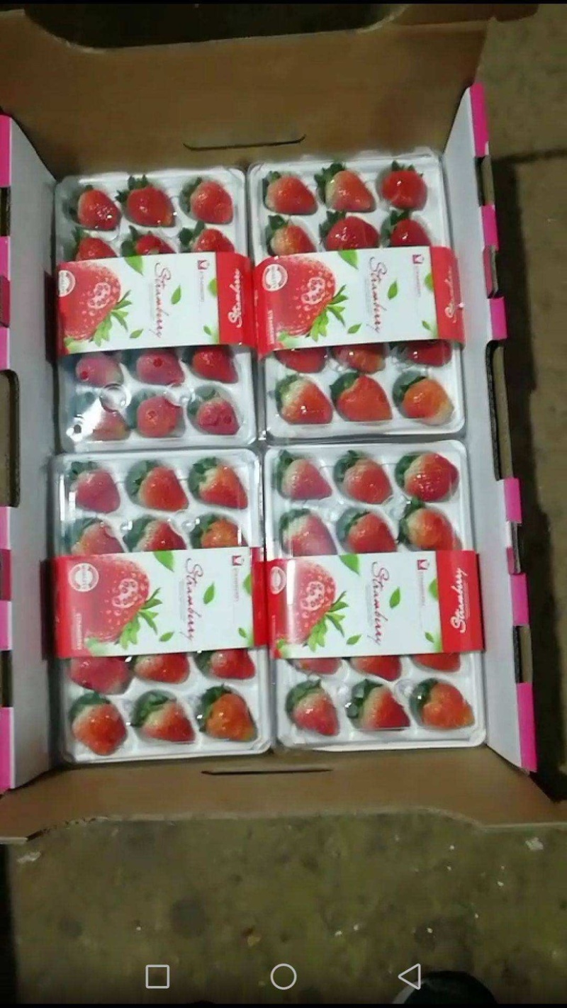 耿集精品奶油草莓.价格低.品质好.价格低.口感好.