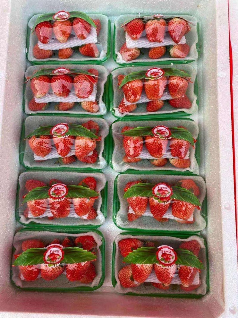 耿集精品奶油草莓.价格低.品质好.价格低.口感好.